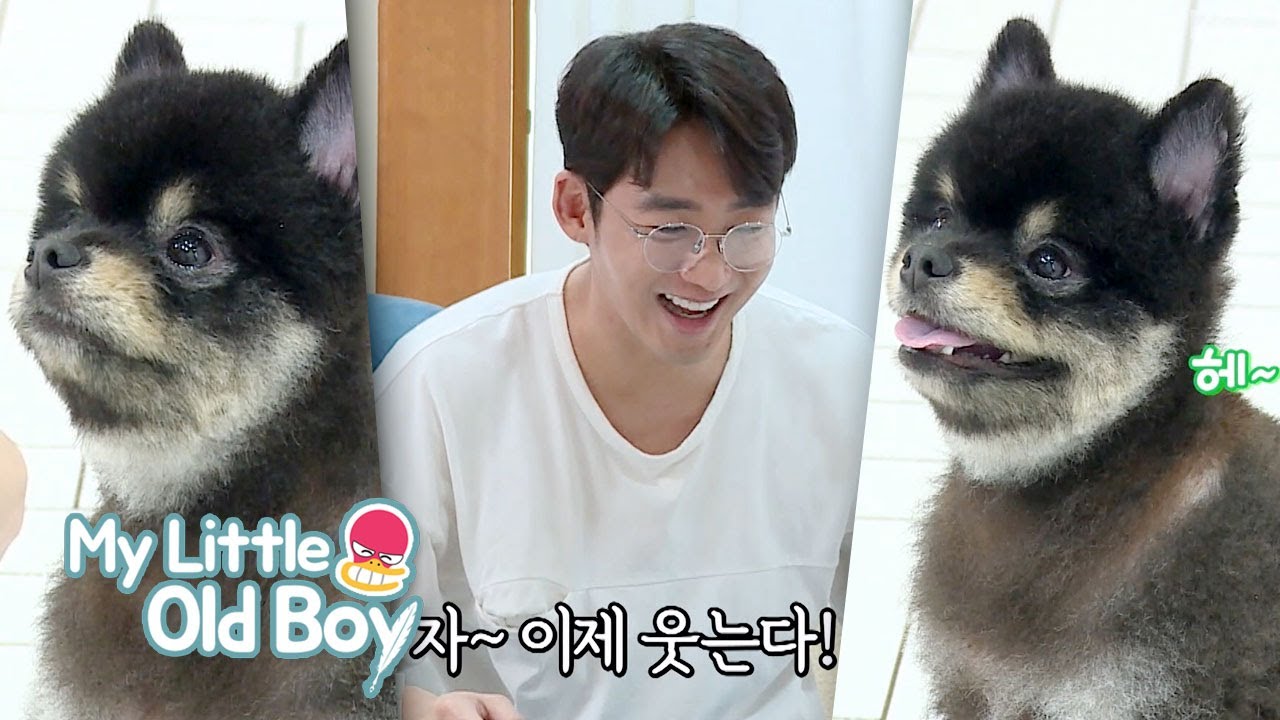 Lee Tae Sung’s dog gets focused the moment he says, “Action” [My Little Old Boy Ep 196]