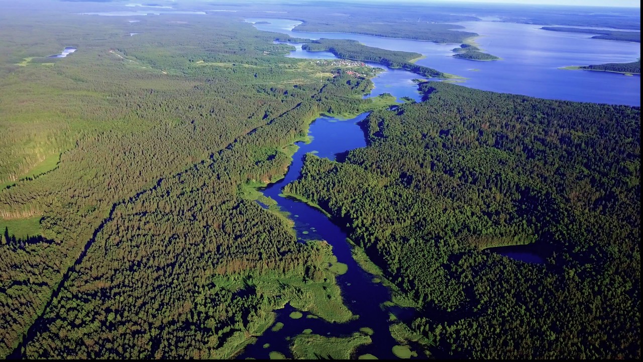 Селигер, Полоновка.  07.2017. DJI Mavic