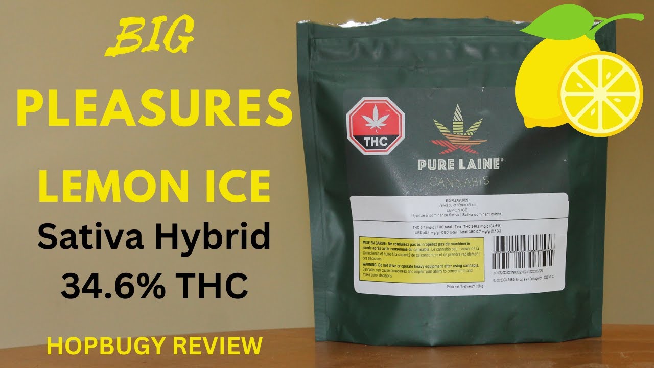 Big Pleasures, Lemon Ice by PURE LAINE Cannabis 34.6% THC POT REVIEW