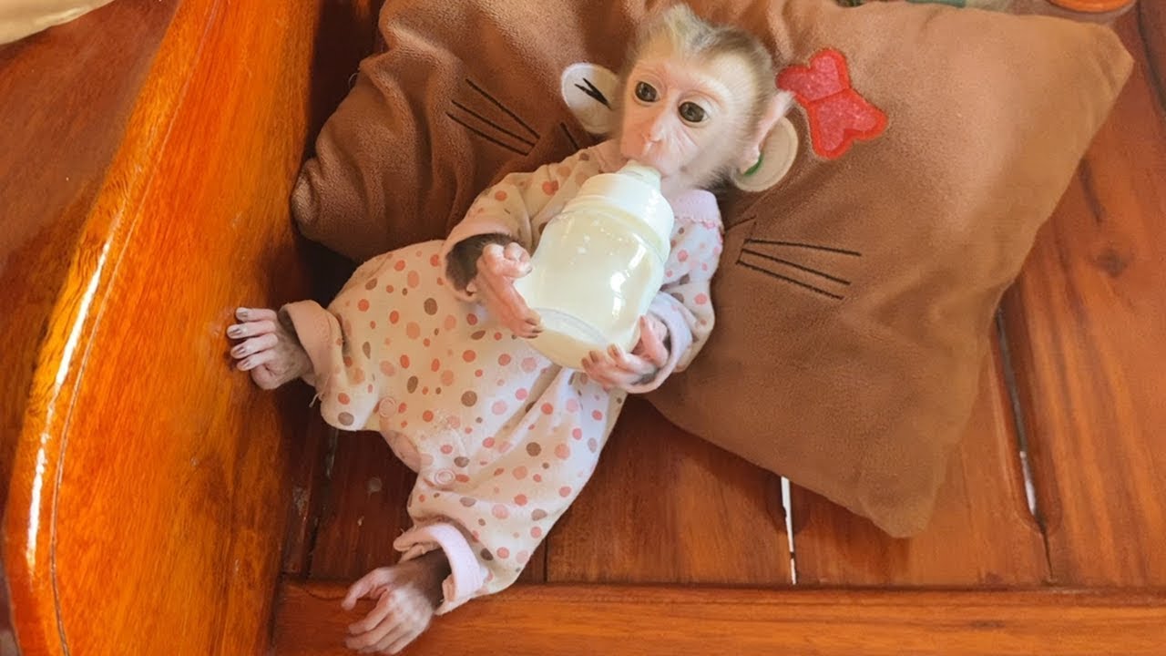 Most Adorable Baby DORN Sleep Holding Milk Bottle Drink Himself