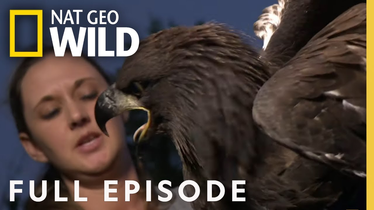 The Bald and the Beautiful (Full Episode) | Bandit Patrol