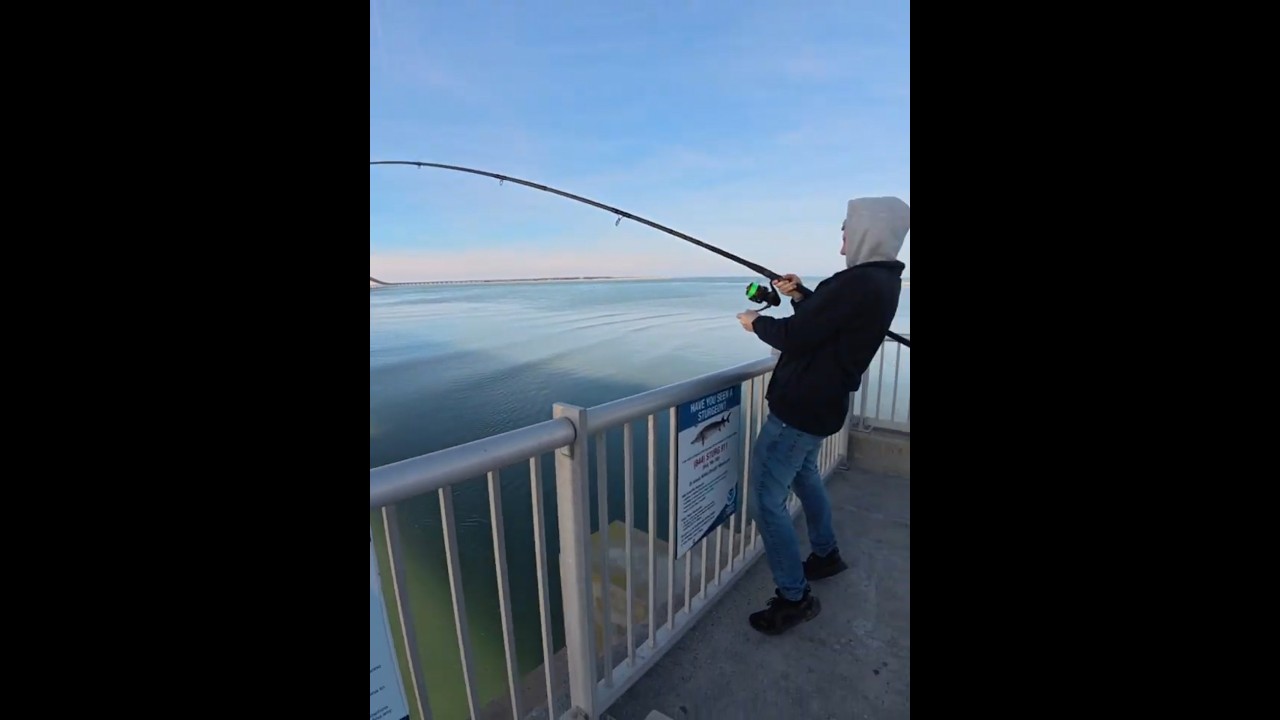 OUTERBANKS SHARKFISHING JANUARY 2026 (LITTLE SHARKS) 
