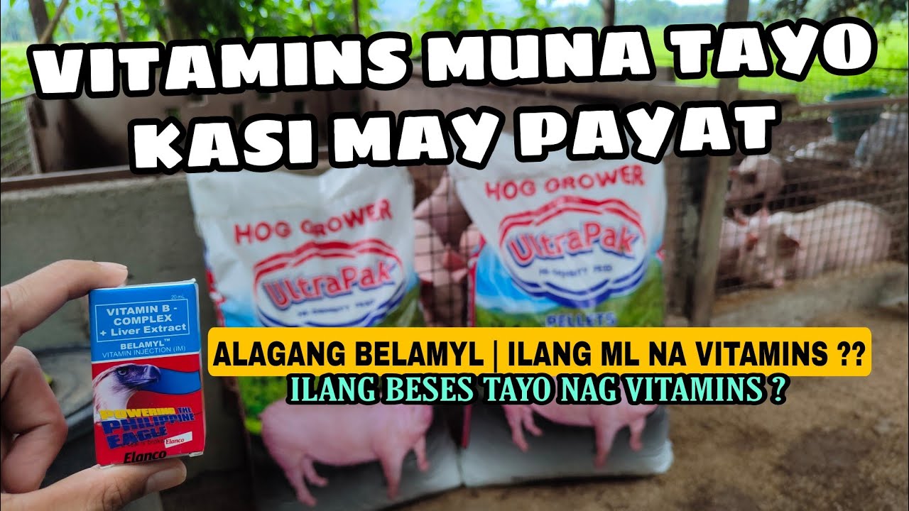 BELAMYL - VITAMINS PARA BABOY MAY PAYAT SAATING MGA ALAGA | ULTRAPAK FEEDS