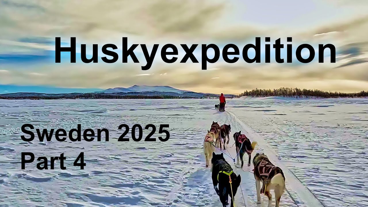 The Journey Continues | One Week Husky Expedition in Sweden Part 4