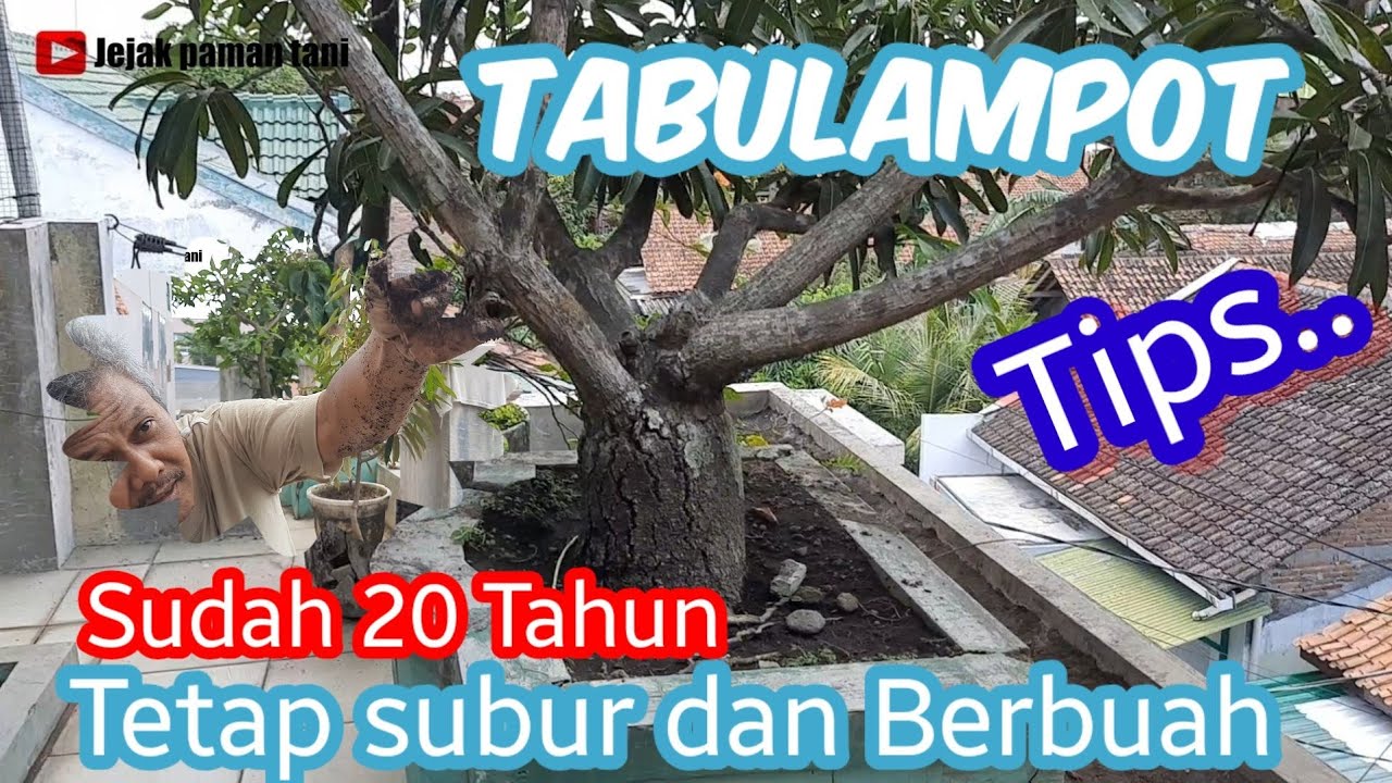 Rahasia Tabulampot