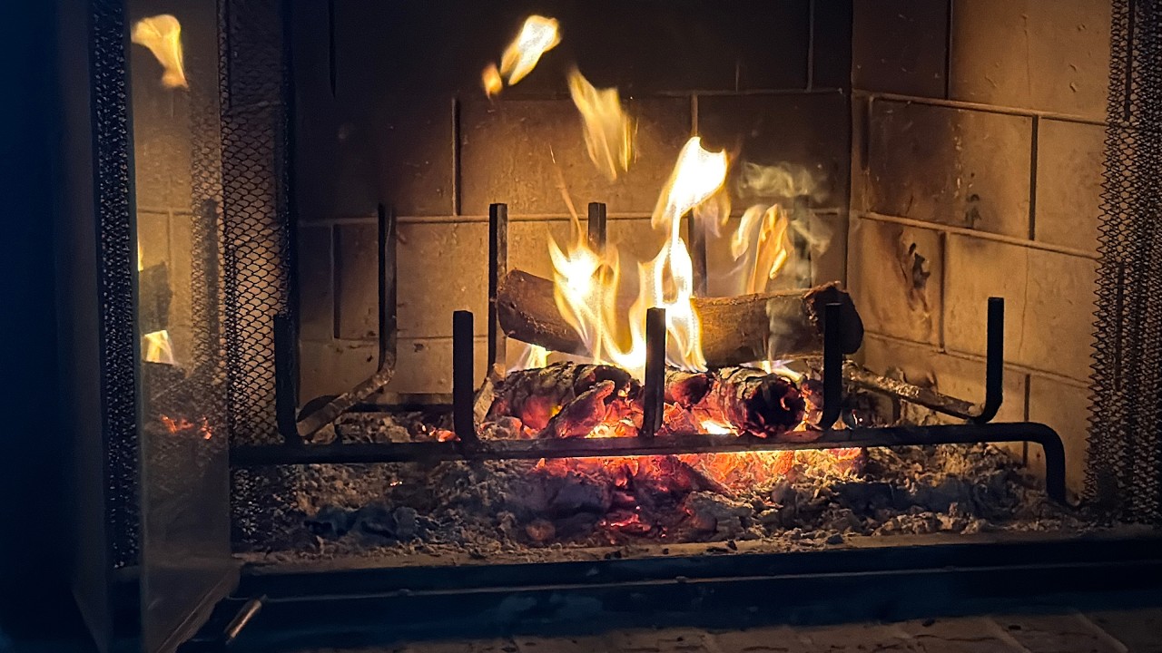 Fireside Bible Study Psalm 119 Mem