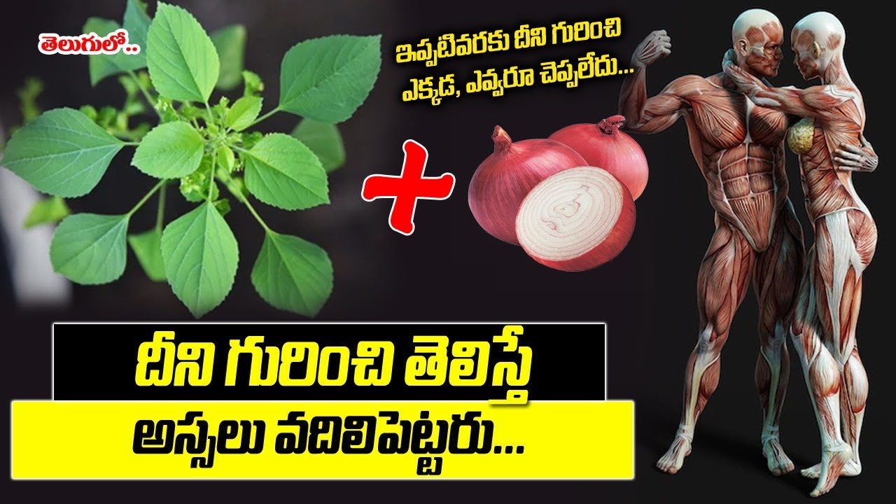 ఈ మొక్క కనిపిస్తే అస్సలు వదలొద్దు! ఎందుకంటె..|| kuppintaku plant uses in telugu || KSK Home