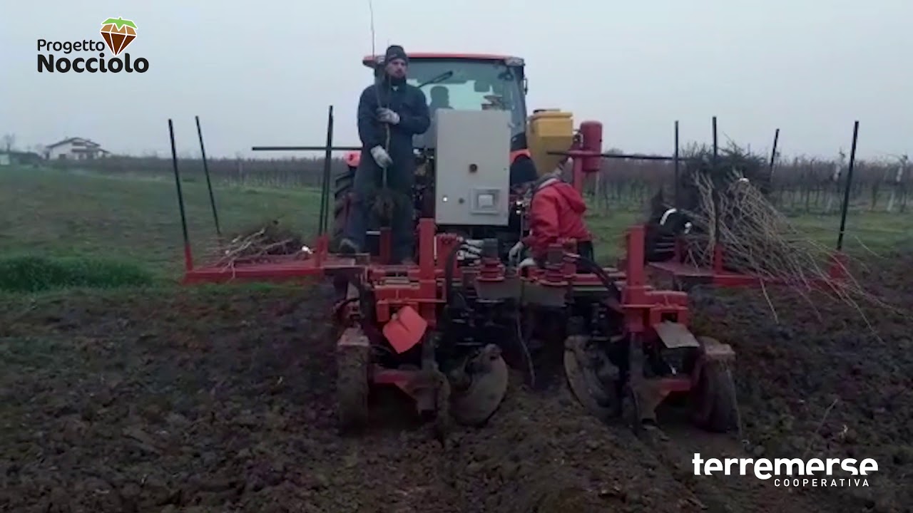 Progetto Nocciolo Terremerse - Forlimpopoli Azienda Fratelli Sirri