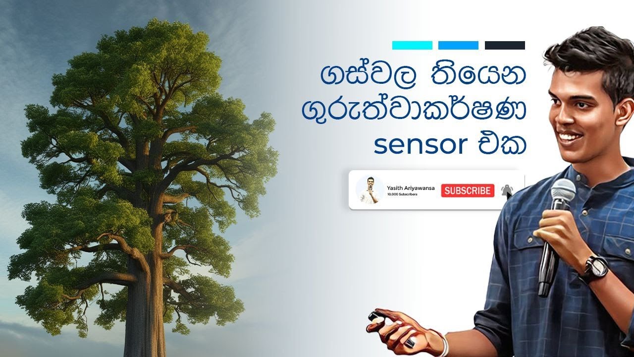 තුලාශ්ම කල්පිතය තර්කානුකූලව | Statolith Hypo | Educational Epi_08 #biology #2025al #biologypaper