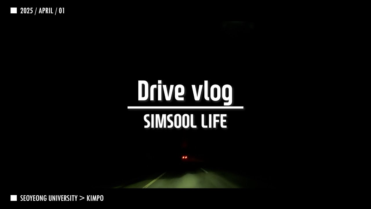 2025 0401 퇴근 Driver Vlog SIMSOOL 서영대 파주 자유로 야간 드라이브 김포