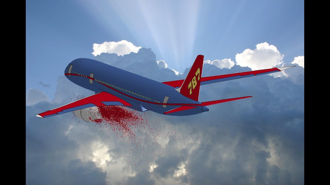 bird strike on turbojet