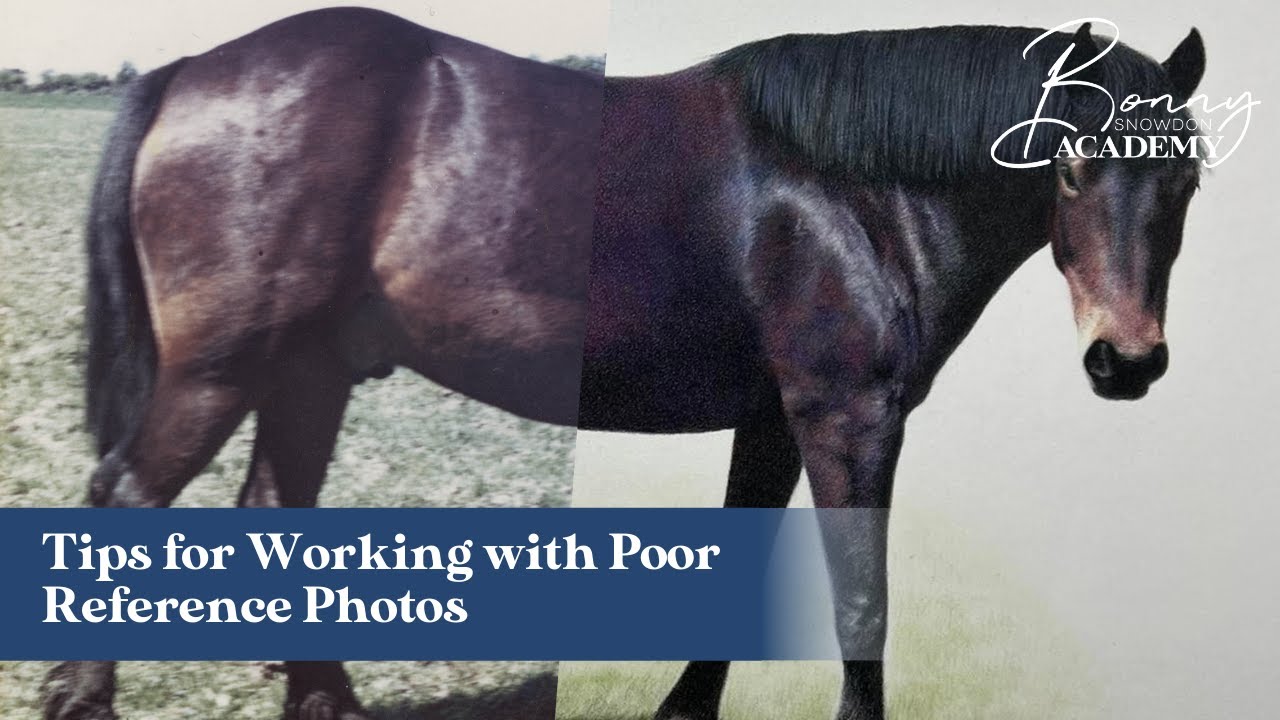 Tips for Working with Poor Reference Photos | Top Tips