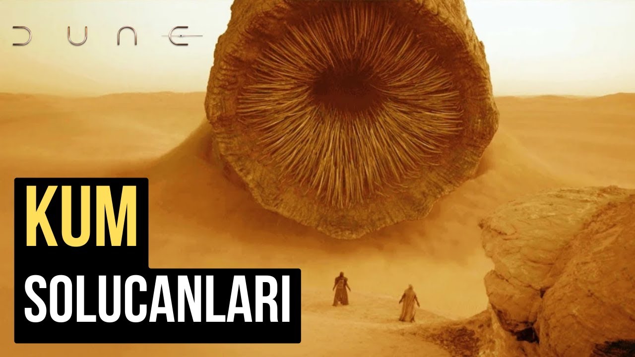 Dune Bilimi: Dev Kum Solucanları Gerçek Olabilir mi?