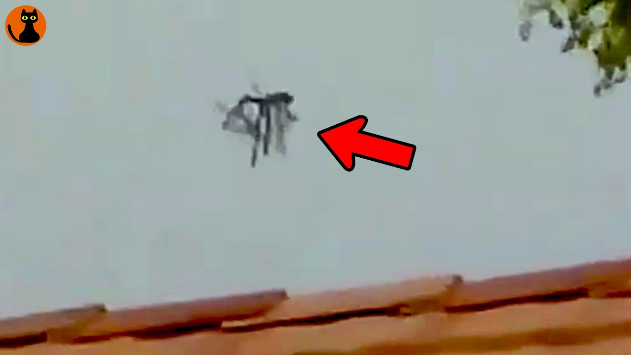 【映像】民家上空に...カメラが捉えた驚愕の未確認飛行物体UFO８選(ゆっくり解説)#.81