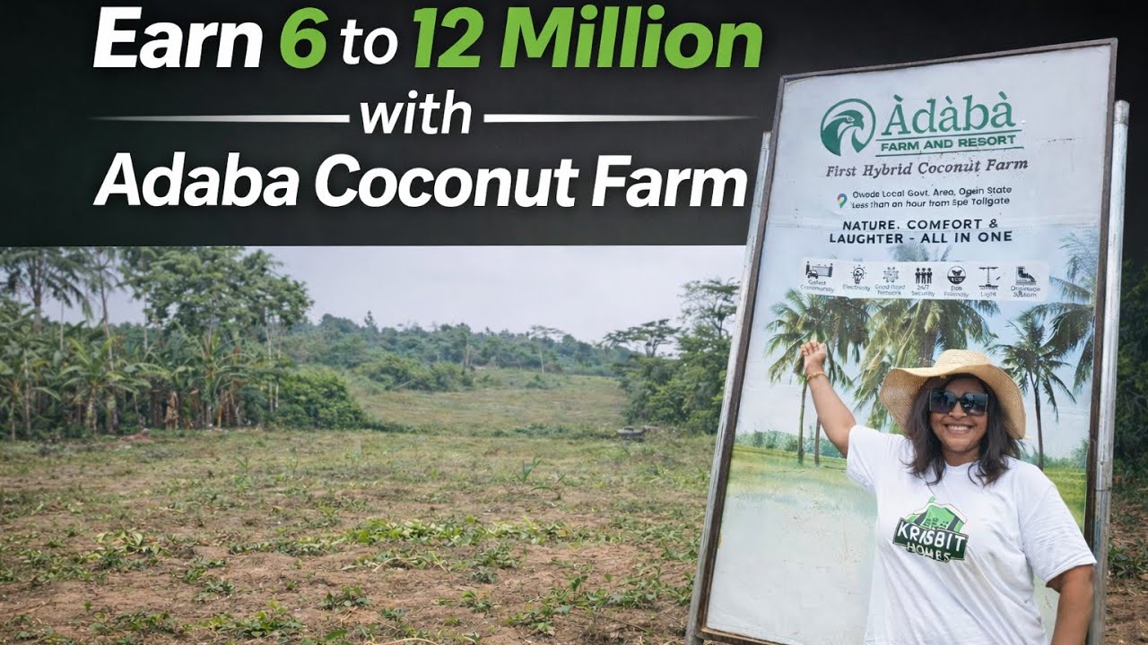 Why invest in Coconut Farm in Nigeria | Adaba Coconut Farm & Resort | Agricultural Investment