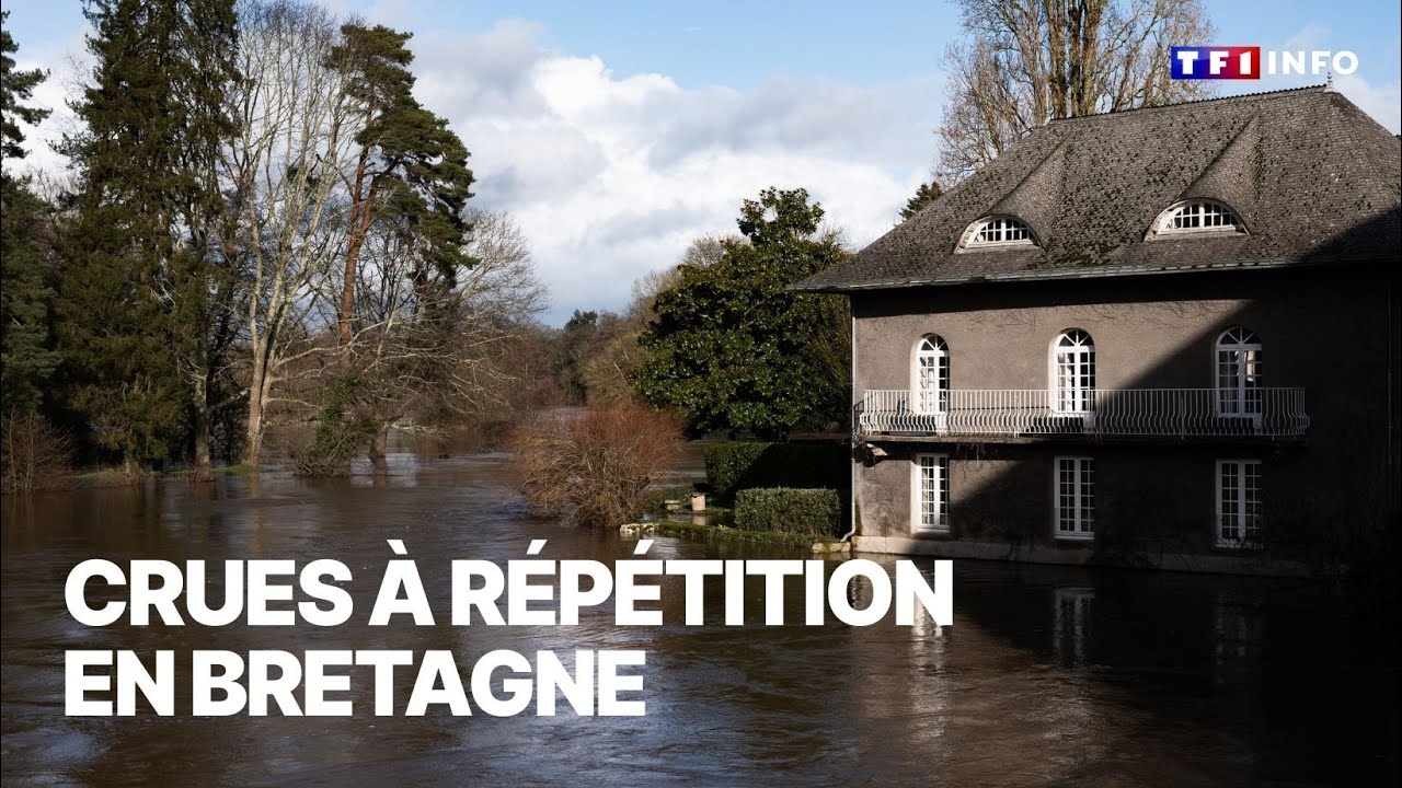 🌧️ Crues à répétition en Bretagne : des zones devenues inhabitables ?｜TF1 INFO