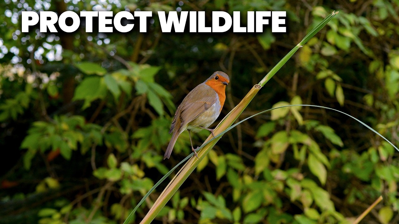 10 растений, которые НИКОГДА не следует обрезать зимой