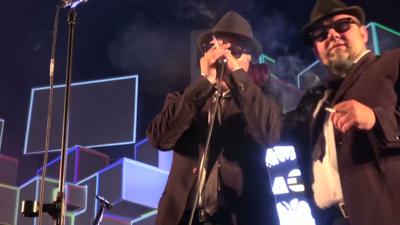 SWEET HOME CHICAGO - Shotgun Blues Band - Blues Brothers tribute
