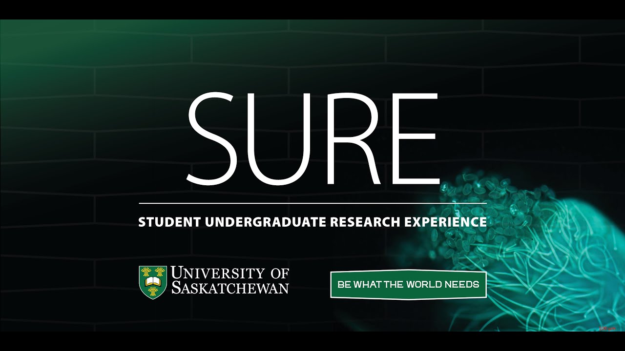 Unbelievable! Science Communication for a Skeptical World by Michael Robin