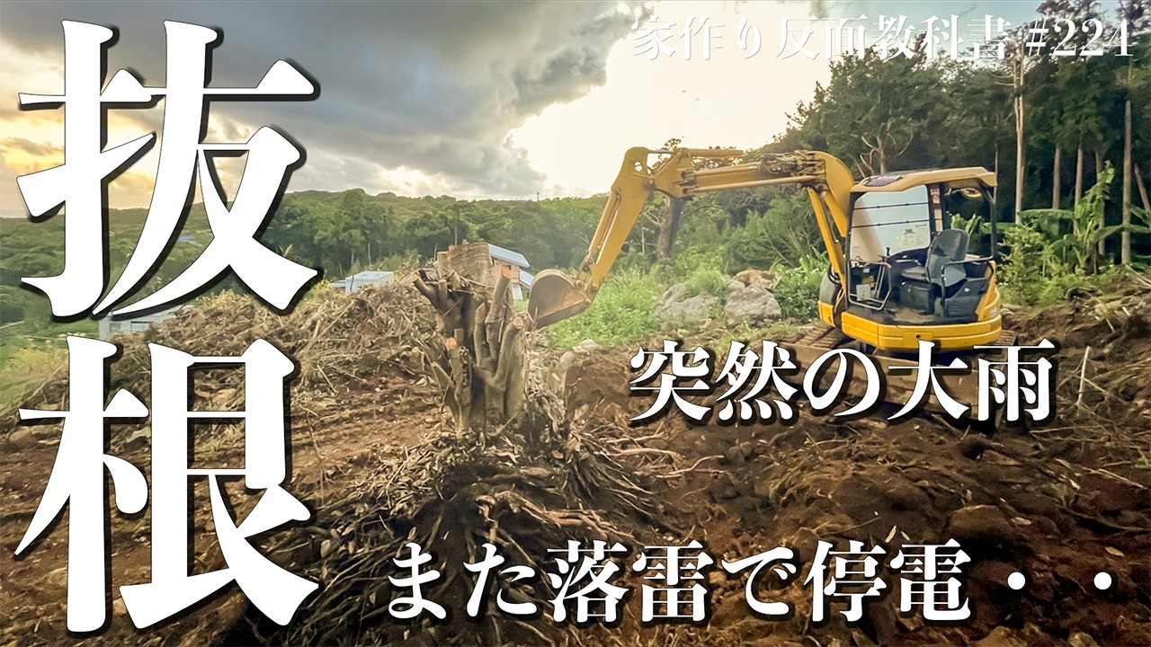 【抜根】電気が無かった暮らしからここまで来た。開拓生活の変貌。EcoFlow DELTA 3 Plus #224