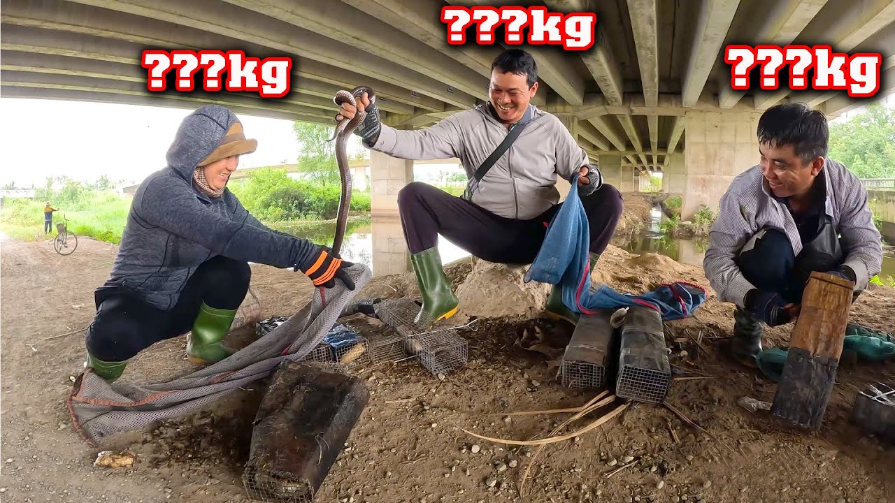 Начинается большая охота на змей # CSBR # 407