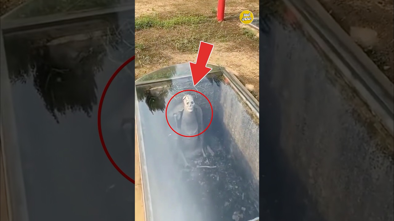 قبور زجاجية وجثث تجلس داخل القبر 😱