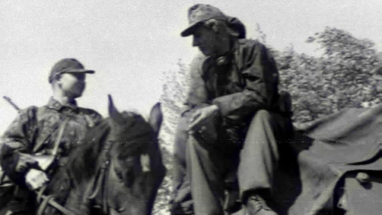 Des Wotans Schwarzer Haufen (Slowed and Reverbed)