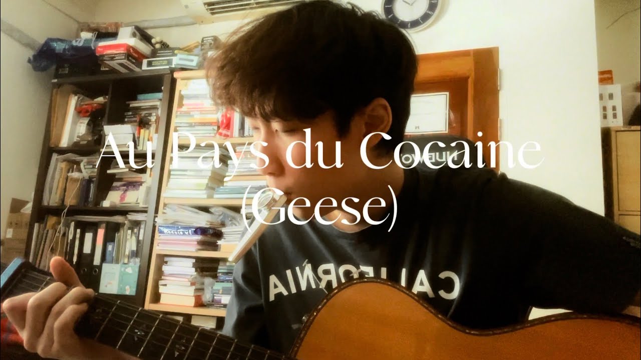 au pays du cocaine ~ (geese cover)