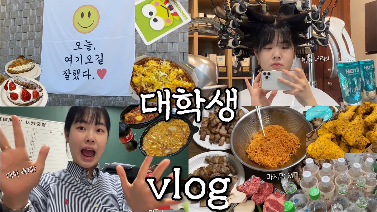 대학VLOG | 마지막 MT, 대학 축제, 시험기간 |