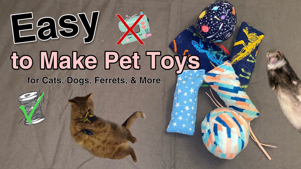 Easy to Make Pet Toys: for cats, dogs, ferrets and more