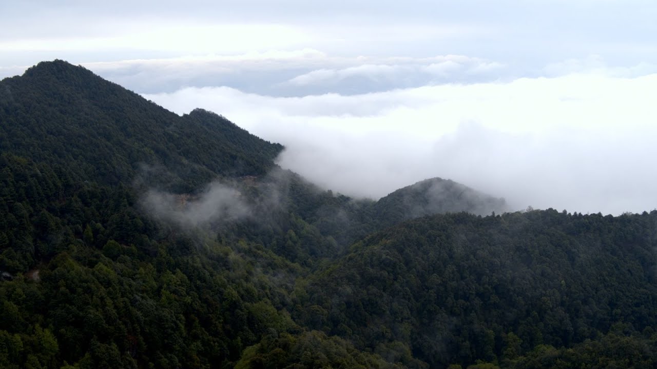 Ailao Mountains Series | Ep. 5: Jiutian Wetland