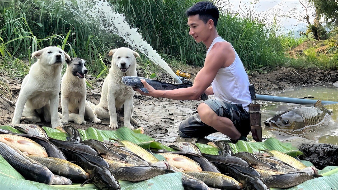 Off-Grid Life With My Dogs | We Caught So Many Giant River Fish