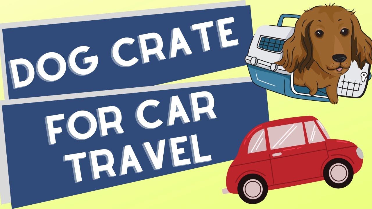 Dog Crate For Car Travel