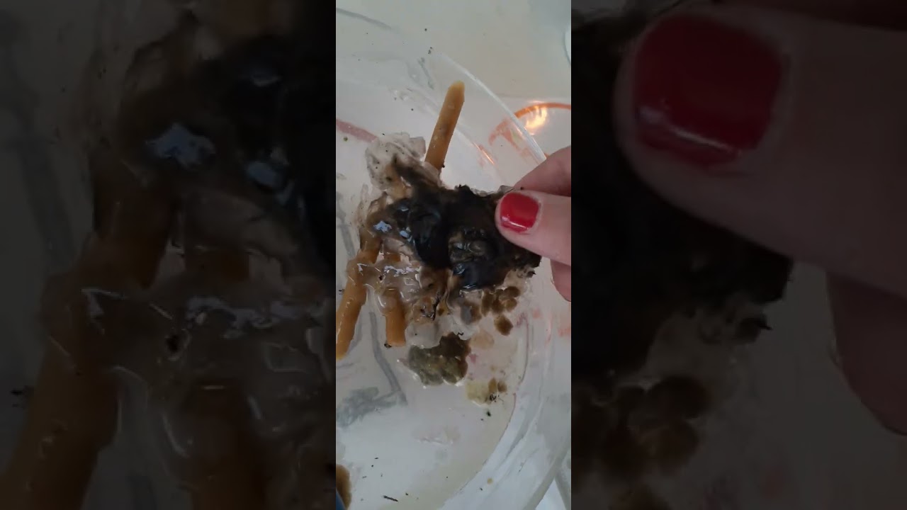 Отсекаем некромантию,некропривязки и некроэнергии отжигом на два ножа!🔥🔥🔥