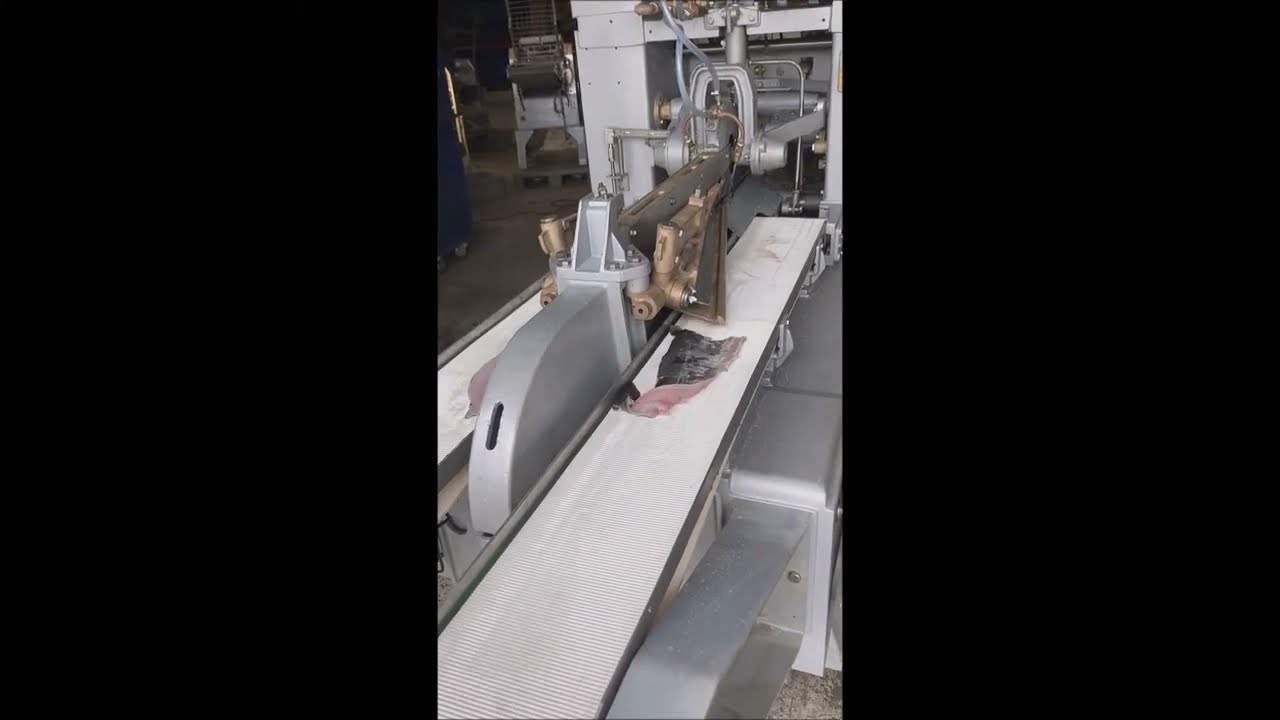 Baader 189 Filleting machine for cod and whitefish