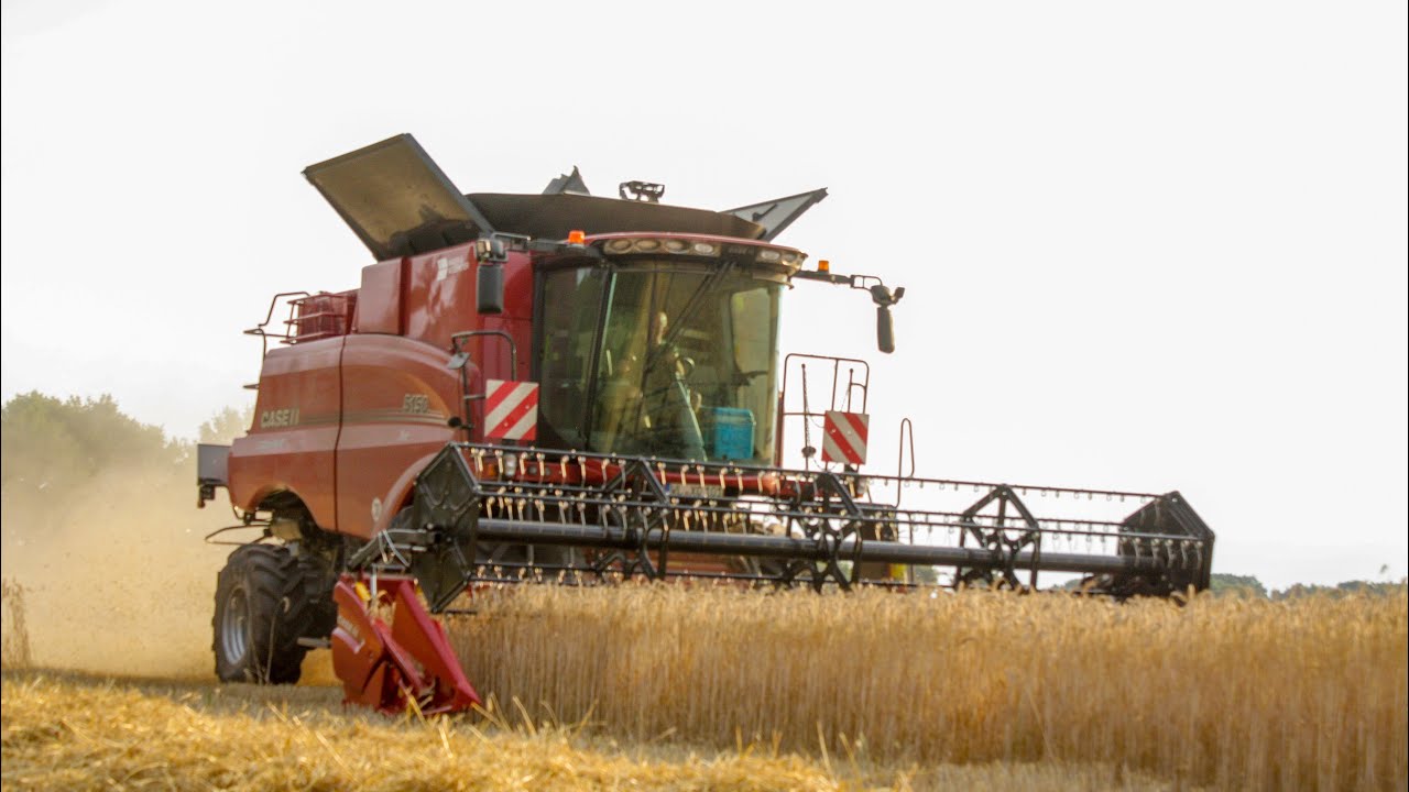 Getreideernte 2022 | Roggen Dreschen mit nagelneuem Case IH 5150 Axial Flow | Landwirtschaft 2022😎