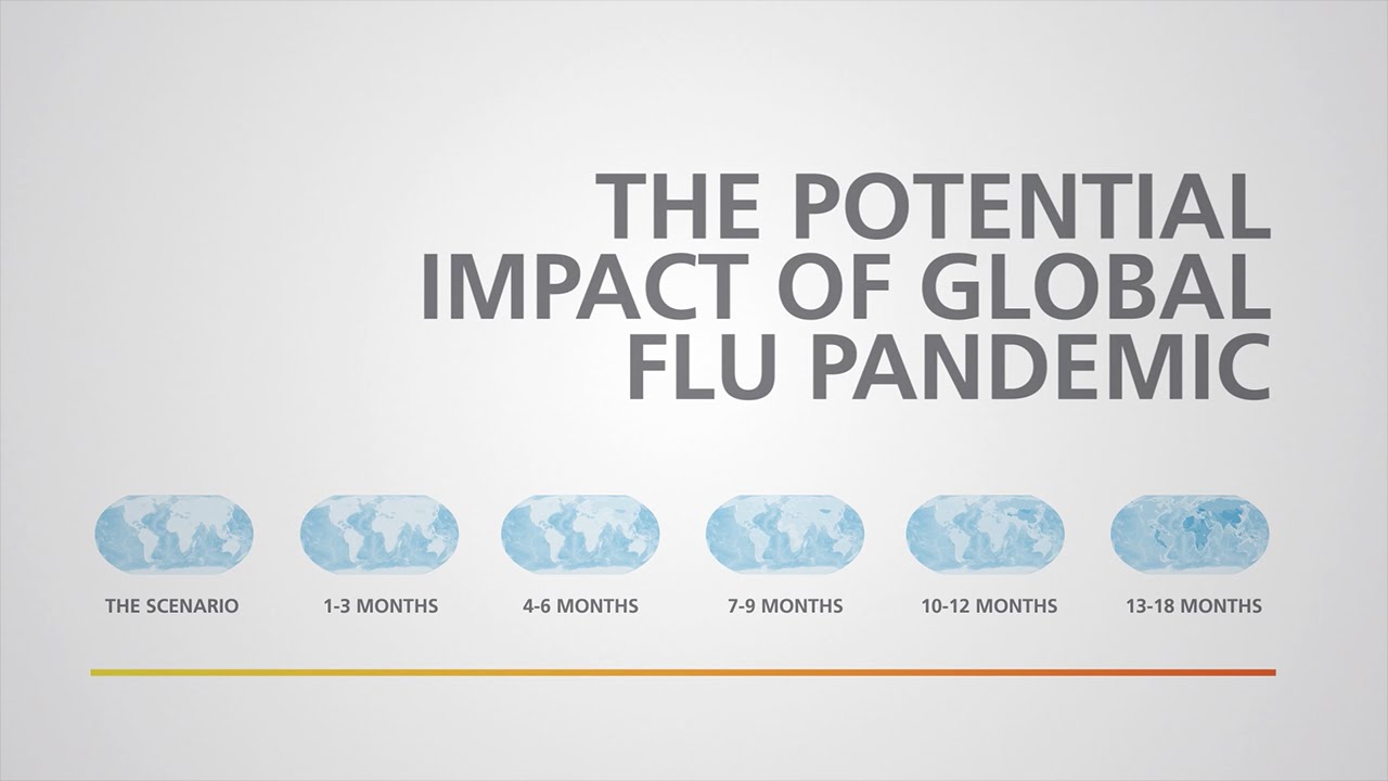 The Potential Impact of Global Flu Pandemic