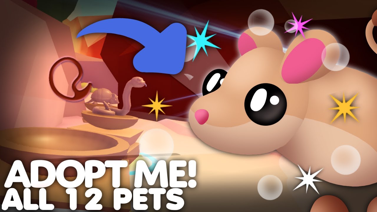 🌵ALL 12 DESERT EGG Pets In Adopt Me! 🥚 New Egg