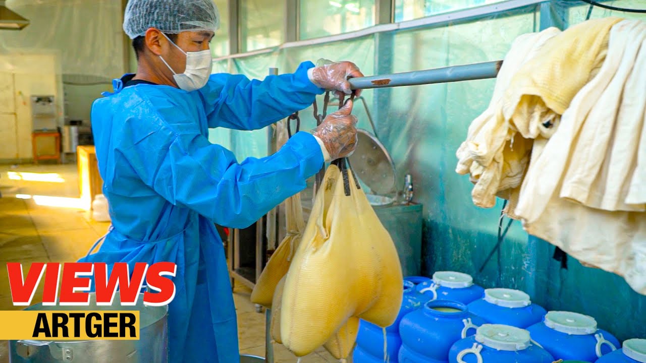 How Mongolian Traditional Dairy Products Made in Factory!
