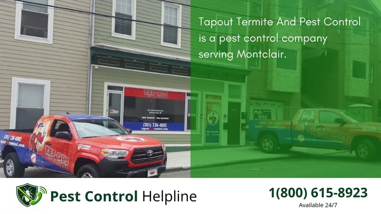 Top 3 Pest Control in Montclair