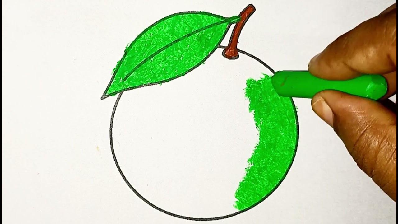 How to Draw and Color Mosambi 