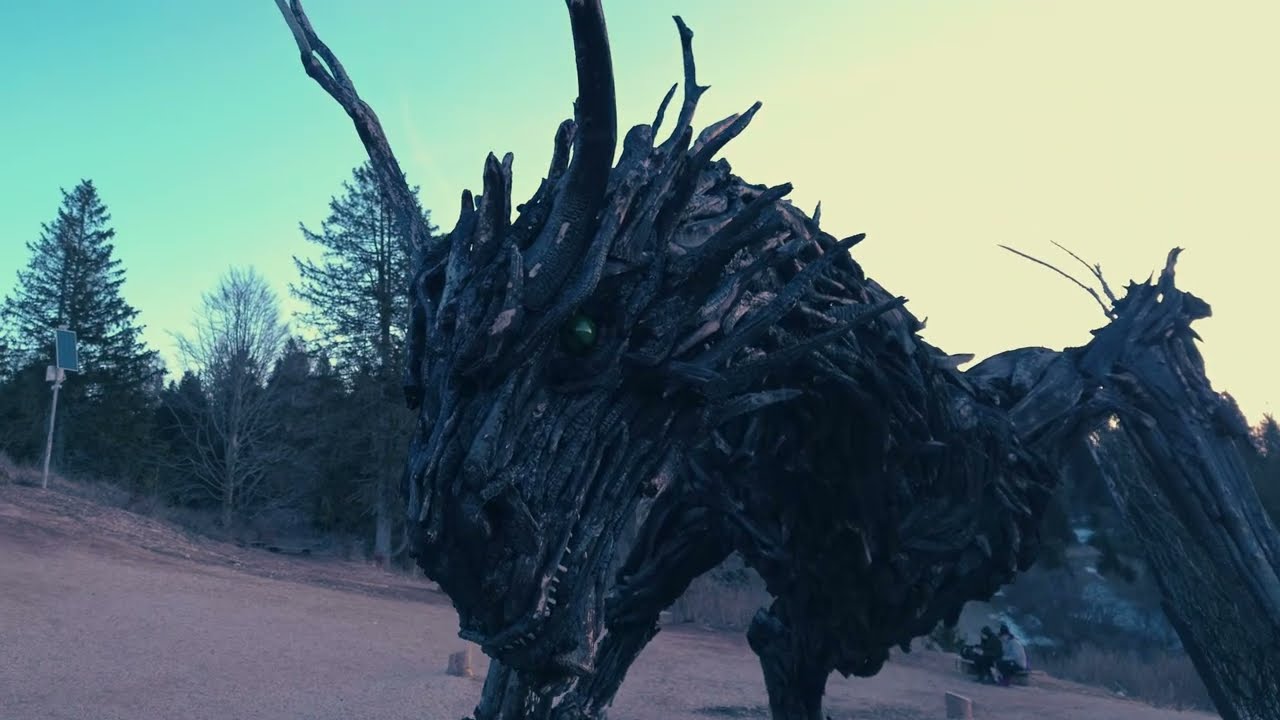 DRAGO VAIA REGENERATION
