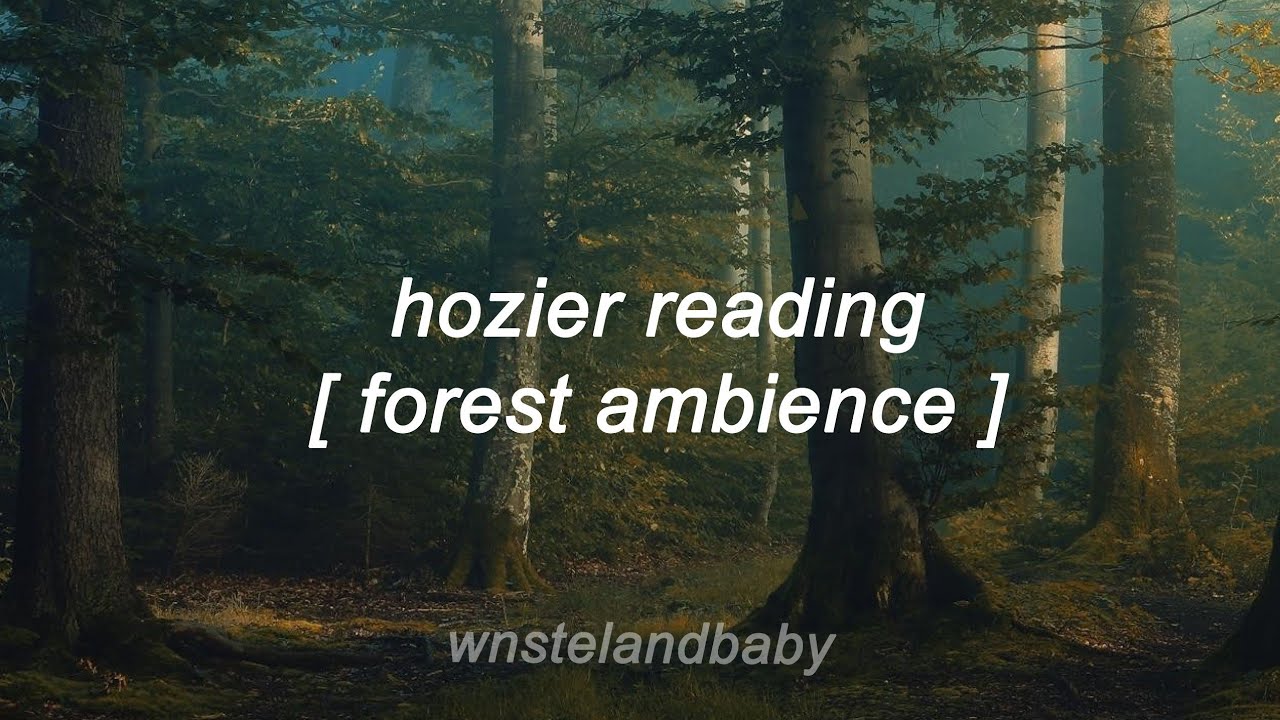 hozier reading: orpheus and eurydice [ forest ambience ]