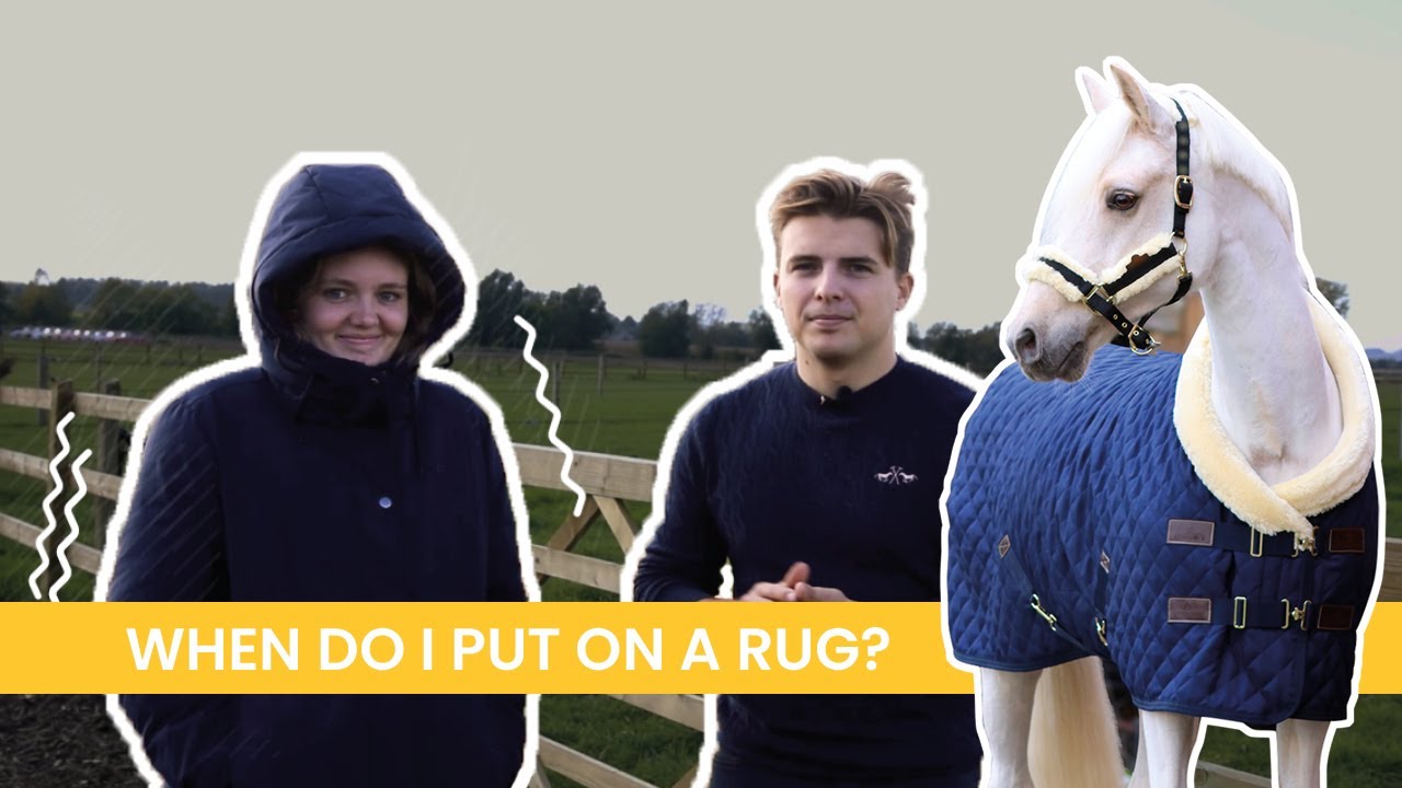 WHEN DO I PUT A HORSE RUG ON | Kentucky Horsewear
