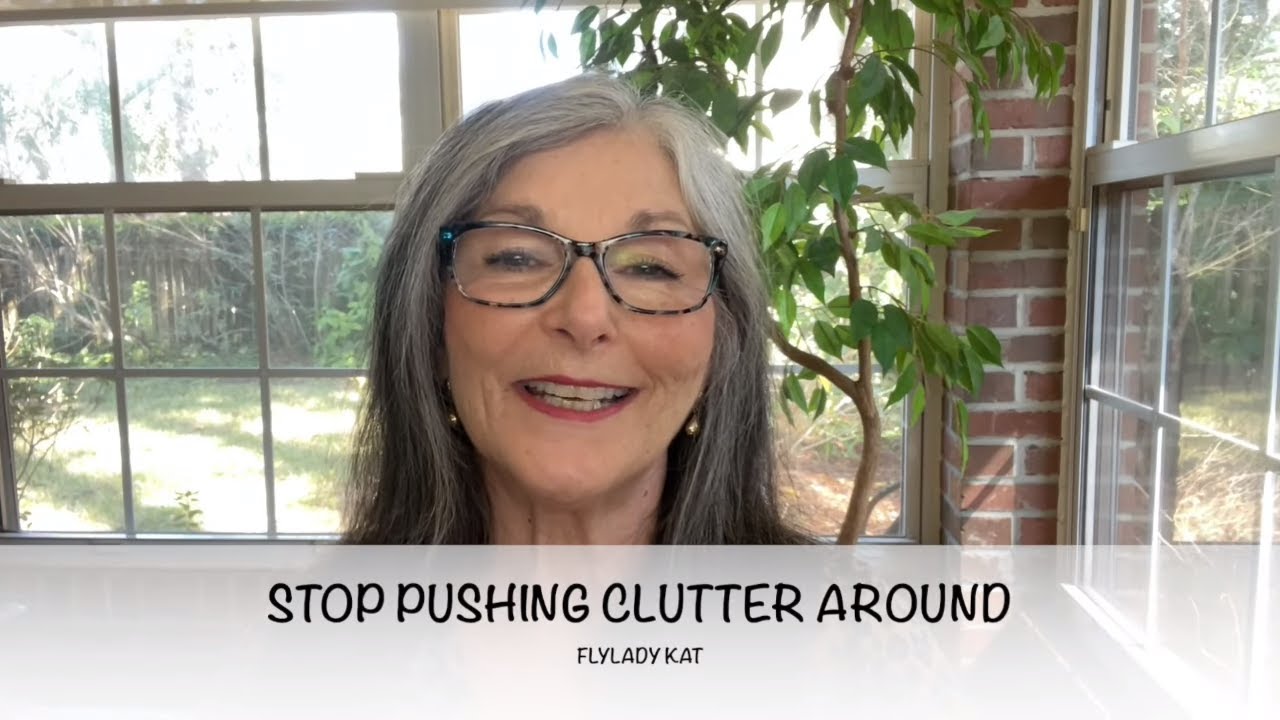STOP PUSHING CLUTTER AROUND - FLYLADY KAT - DECLUTTER - CLUTTER CHECKS - A CLEAN HOME WITH FLYLADY
