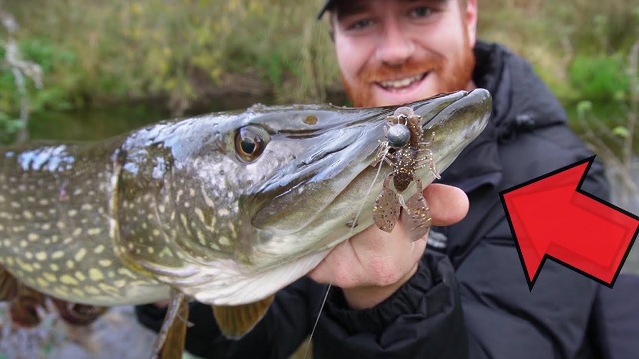 Slaying River Pigs With These Floating Creature Baits! (Unexpected big catch)