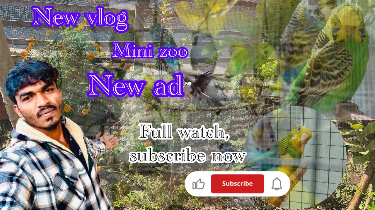 New mini zoo vlog Sikka 