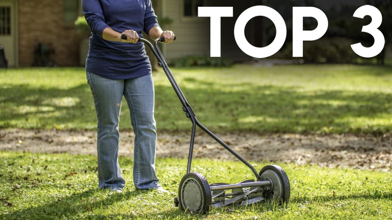 TOP 3 : Meilleure Tondeuse à Gazon Manuelle 2026