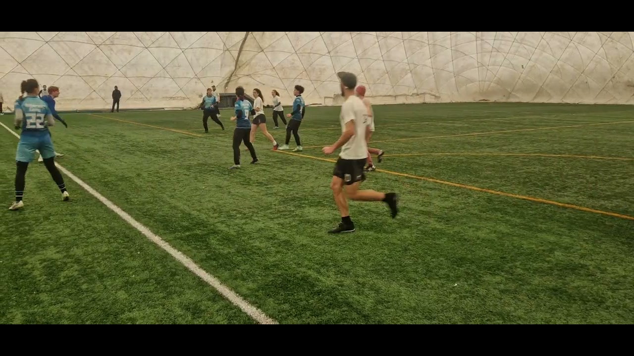 LIONZ - III VEŽE, Seven X 2026