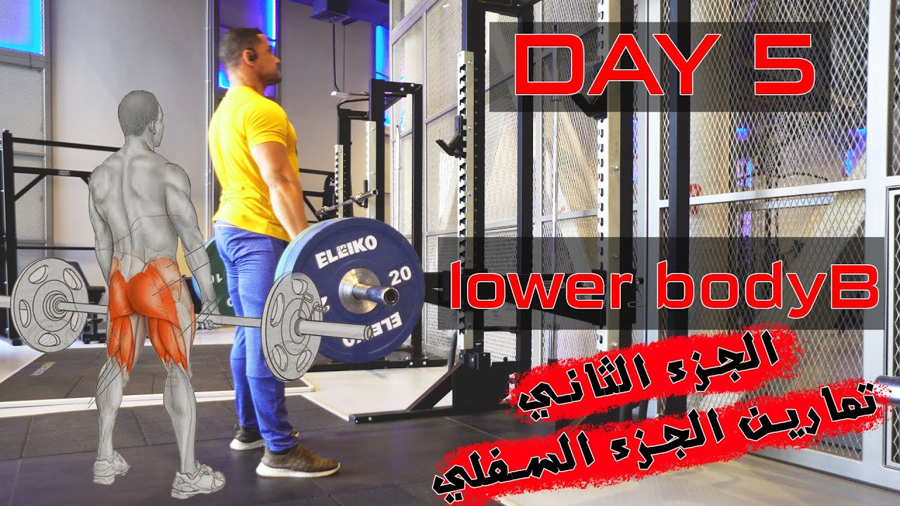 اول يوم تمرين فى الجيم تمارين lower body تمارين الجزء السفلي للجسم تمارين الرجلين في الجيم جيم كايرو